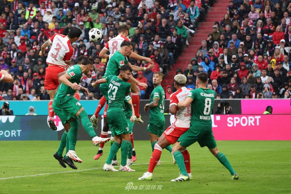 而这些球员 而这些球员